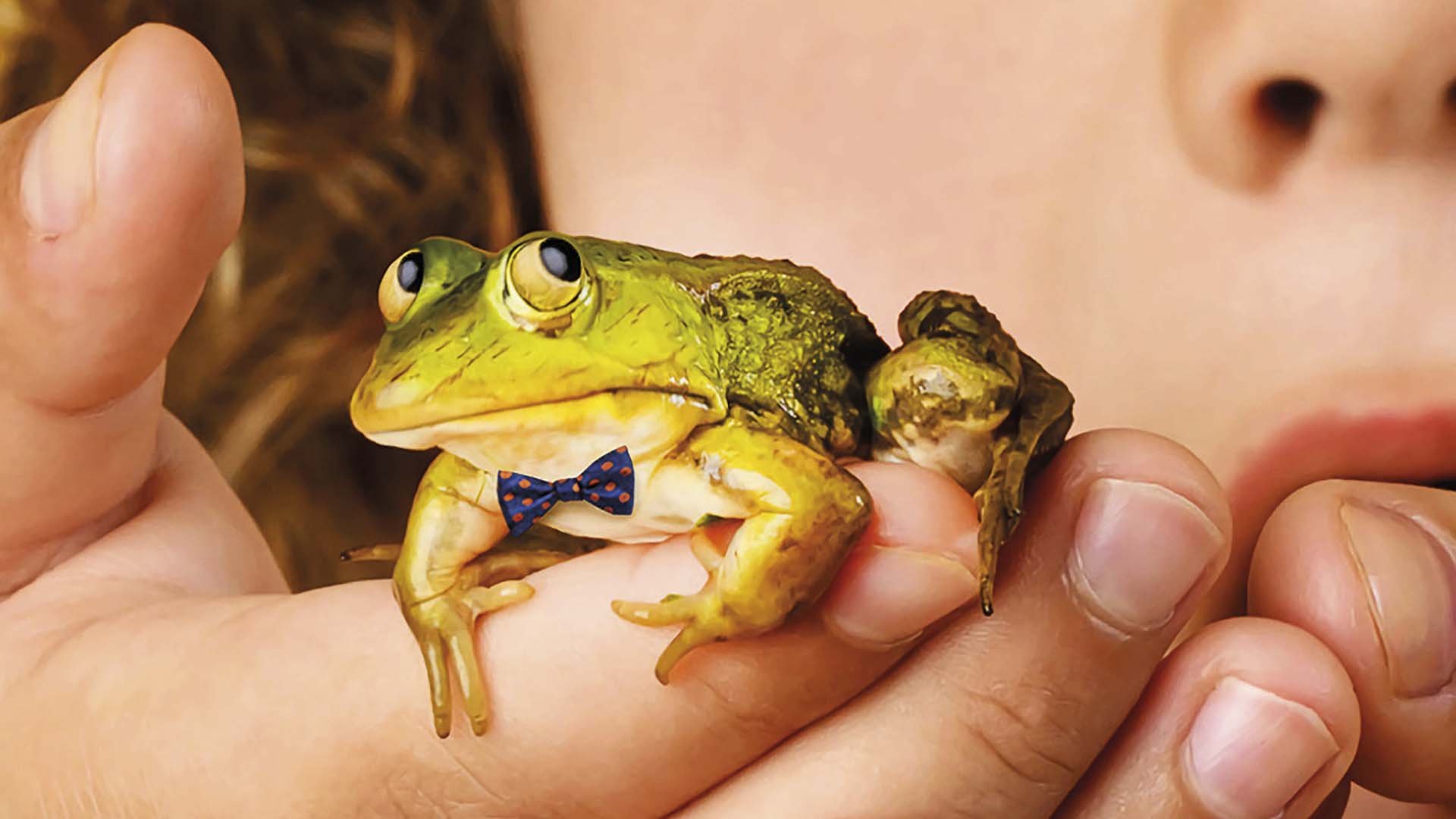 Een groene kikker met een blauwe strik met stippen zit op een hand, op de achtergrond is een kindergezicht te zien.