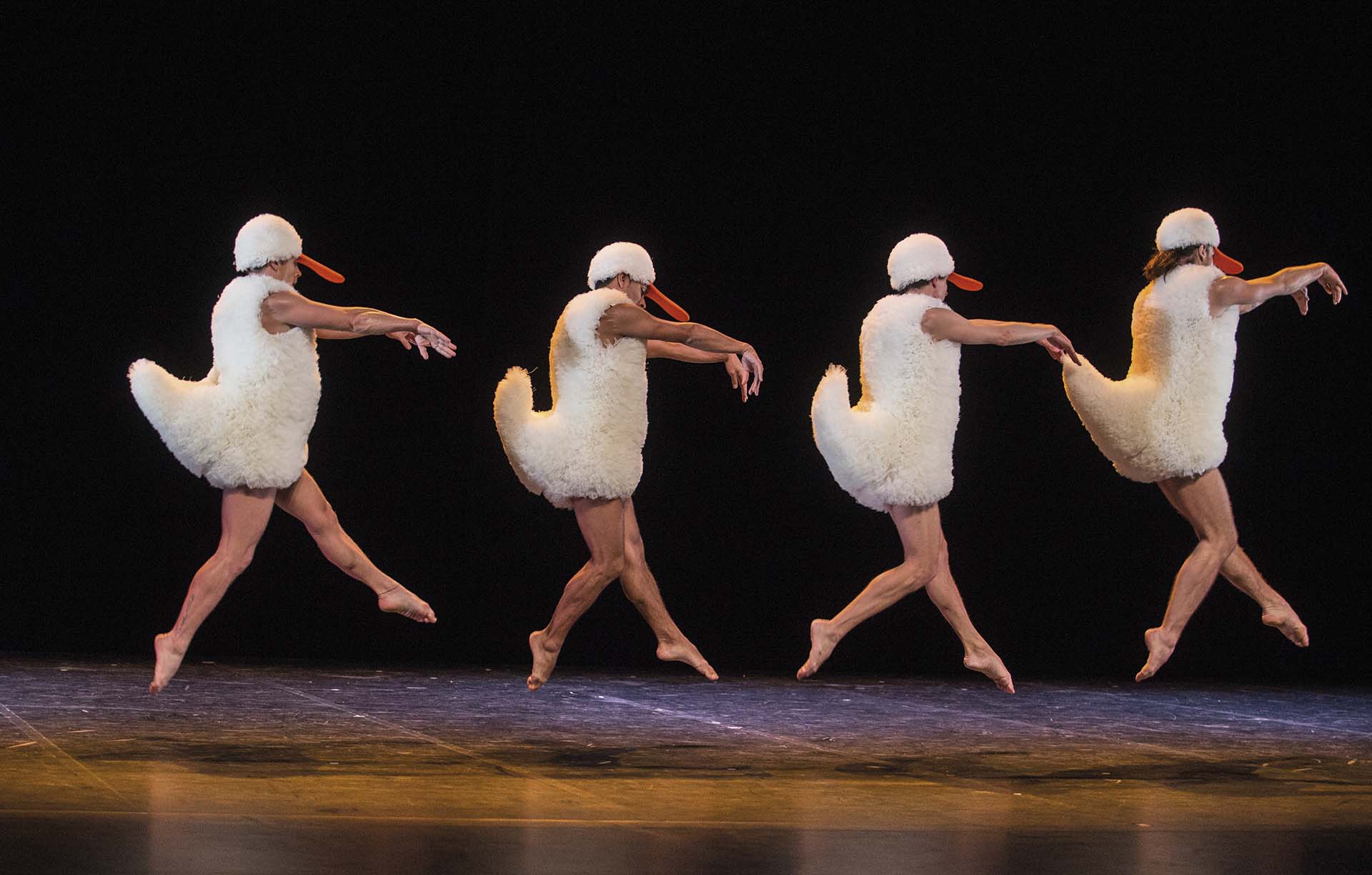 Vier dansers in zwaankostuum springen synchroon over het podium.