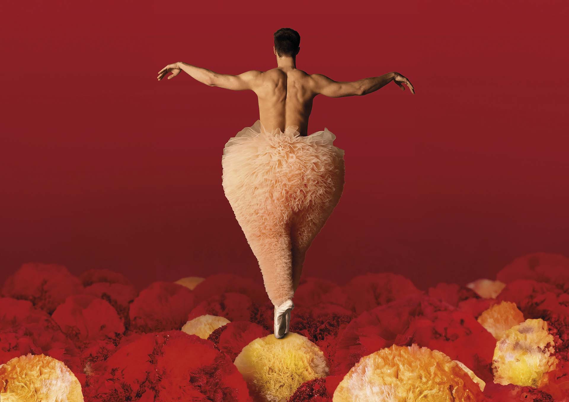 Danser op spitzen balanceert tussen rode en gele pompons in een volumineus tutu-kostuum.