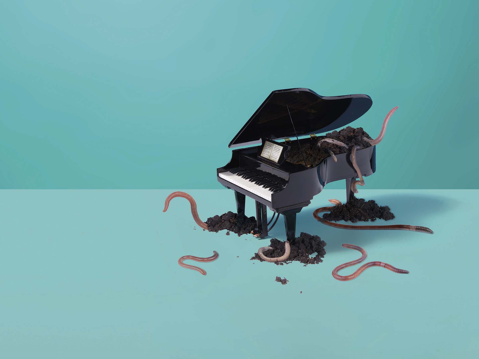 Een zwarte vleugel staat op een turquoise vloer en is deels bedekt met aarde en regenwormen die uit de grond kruipen.