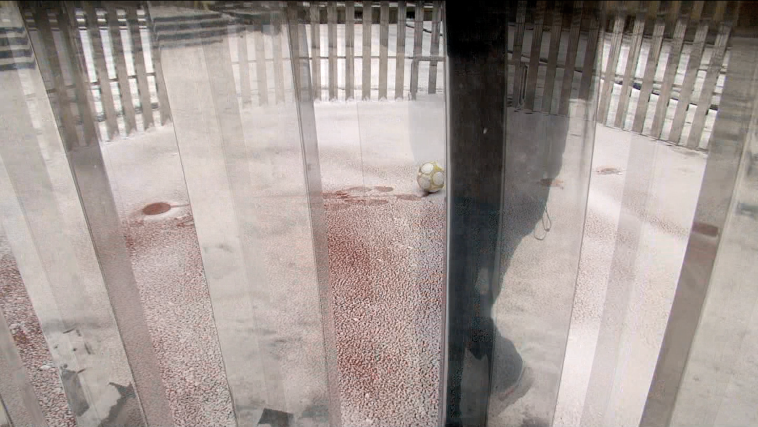 daan bunnik will you play with me