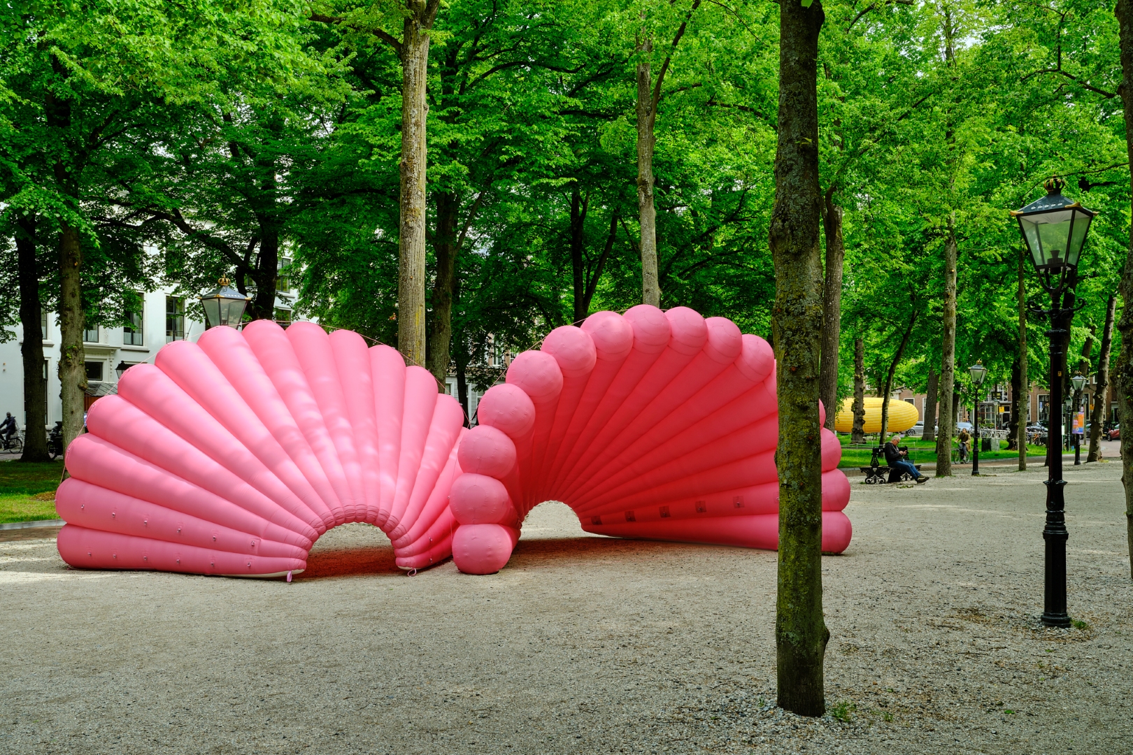grote roze schelpen in een park